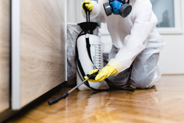 Best Residential Pest Control  in Saratoga, CA