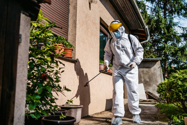 Best Affordable Pest Control Services  in Saratoga, CA