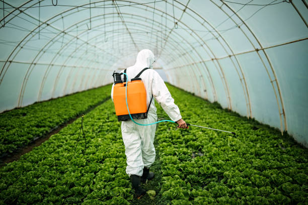 Best Pest Removal Services  in Saratoga, CA