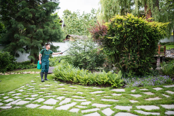 Best Cockroach Control Services  in Saratoga, CA