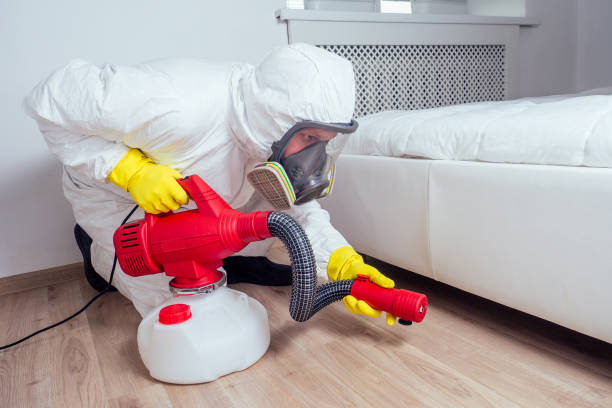 Best Mosquito Control Services  in Saratoga, CA