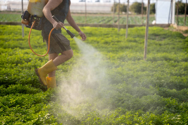 Best Commercial Pest Control Services  in Saratoga, CA