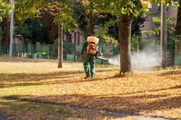 Best Rodent Control Near Me  in Saratoga, CA