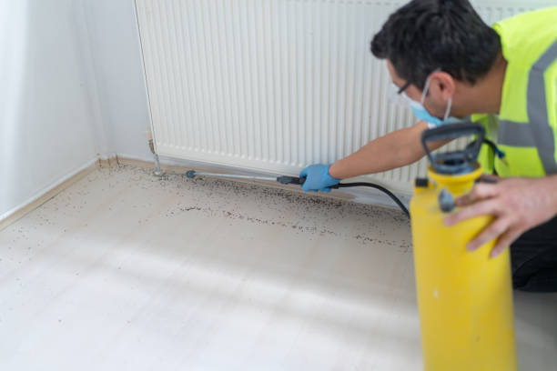 Best Pest Prevention Services  in Saratoga, CA