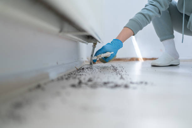 Trusted Saratoga, CA Pest Control Experts